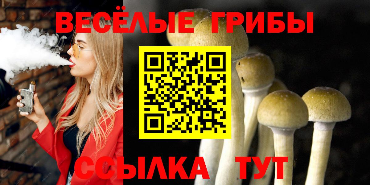 Псилоцибиновые грибы Cubensis  Вход с VPN  Искитим 